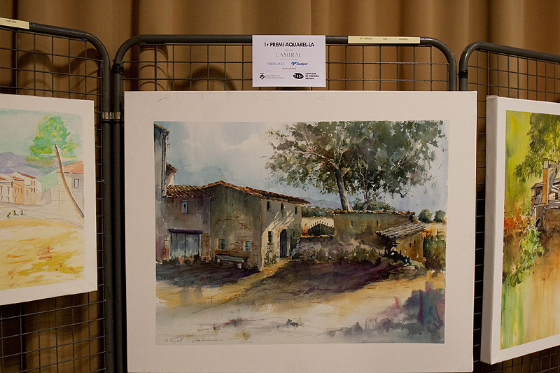 30-07-16-fm-caldes-de-malavella-concurs-de-pintura-rapida-35