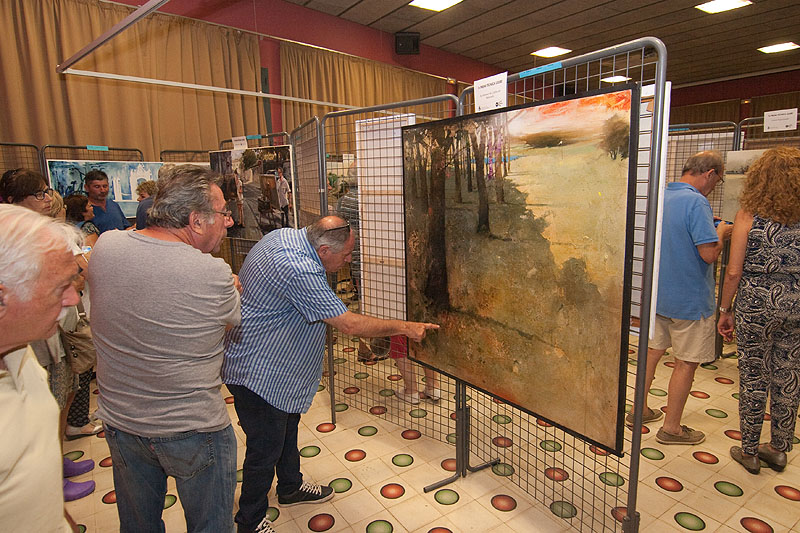 concurs-pintura-rapida-festa-major-caldes-de-malavella-2015-19