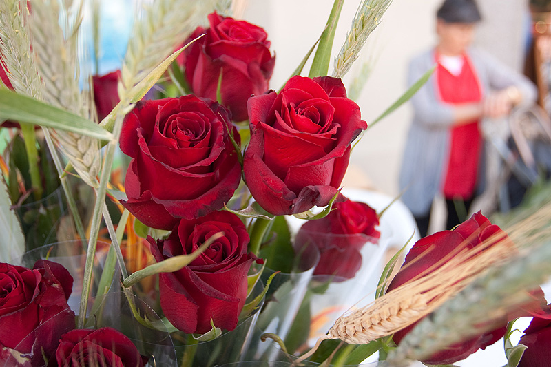 sant-jordi-caldes-de-malavella-2015-5